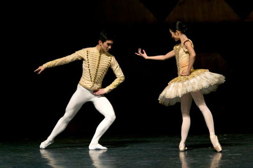 精品藝術(shù)齊綻放 白云機(jī)場迎新年文藝演出即將盛大啟幕